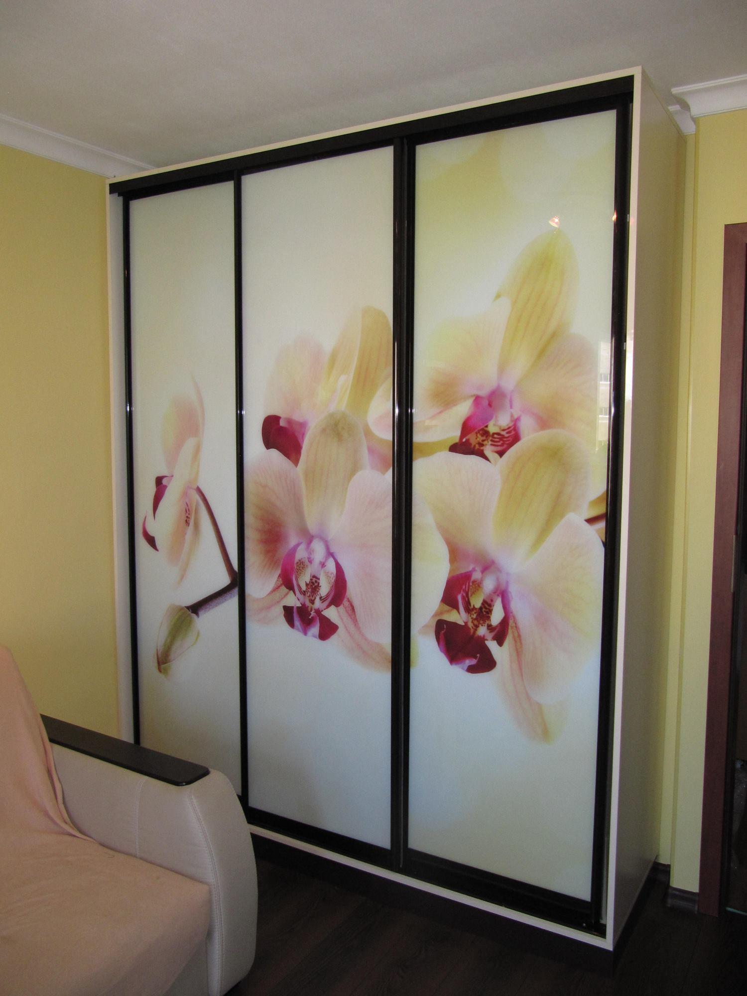 Шкаф-купе Орхидеи